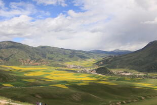 山间绚烂花海田园美景