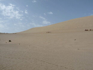 广袤沙漠中的驼队景观