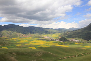 山间油菜花海美丽风光