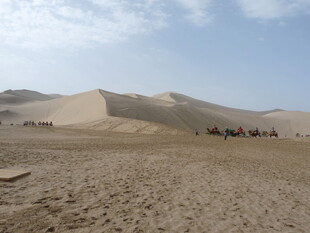 沙漠中的骆驼队景观