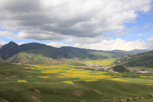 山间油菜花海美景