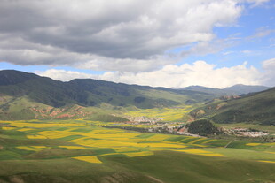 草原花海与远山美景