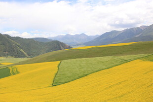 金色田园风光 壮美山川