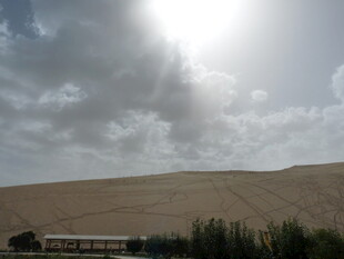 沙漠风光与绿植相映成趣
