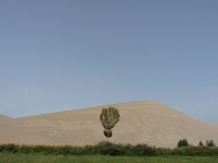 沙漠上空的热气球景观