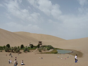 沙漠中的绿洲与游人