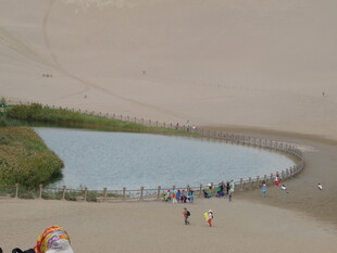 沙漠中的清澈湖泊与游人