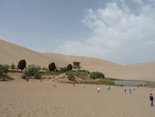 沙漠中的绿洲与游人