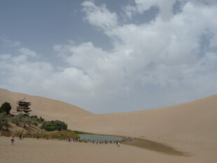 沙漠中的绿洲景观