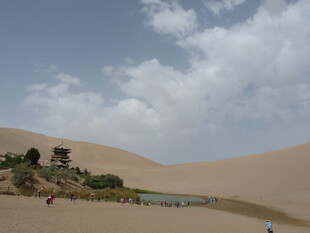 沙漠中的静谧绿洲景观