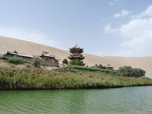 沙漠中的绿洲景观