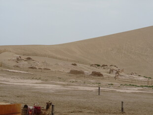 沙漠风光中的人群与骆驼