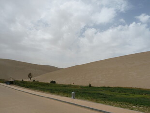 沙漠公路旁的绿地景观