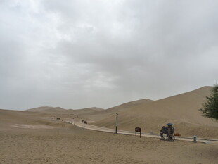 沙漠驼队漫步于沙海之中