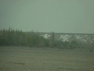 草原与远处雪覆山林景观