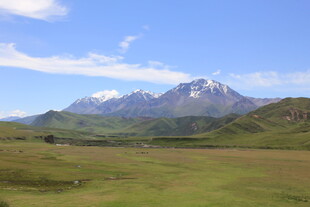 草原上的巍峨雪山