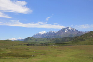 壮丽高山下的广袤草原