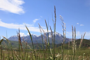 草原远山蓝天美景