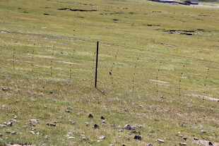 草原上的孤立围栏