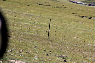 草原上的简易围栏