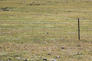 草原上的简易围栏
