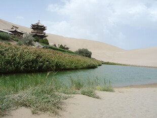 沙漠中的绿洲景观