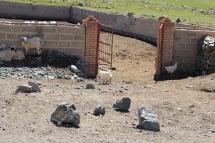 荒废的户外围栏及散落石块