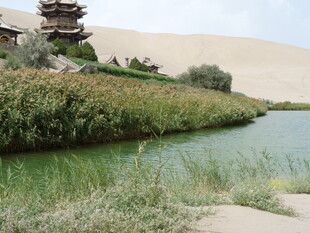 沙漠中的绿水与古朴建筑