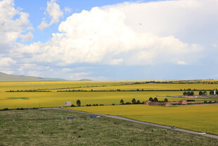广袤田野风光秀丽