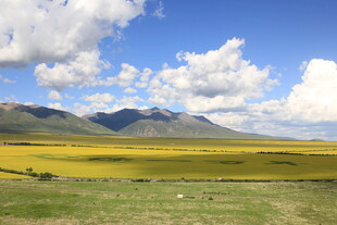 草原与远山的壮丽风光