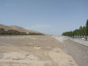 宽阔沙地旁的绿树道路