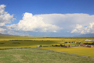 草原风光 蓝天白云下的美景