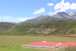 草原上的红顶建筑