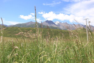 草原上的远山美景