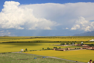广袤田野与蓝天白云美景