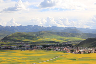 草原花海与远处山峦美景