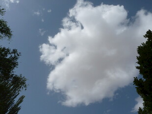 蓝天下的蓬松白云