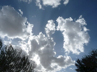 蓝天映衬下的蓬松云朵