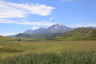 广袤草原与远处雪山美景