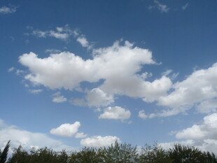 蓝天白云下的葱郁景致