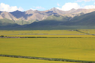 草原与远山的壮美风光