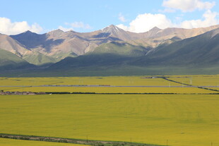 草原与远山的壮美风光