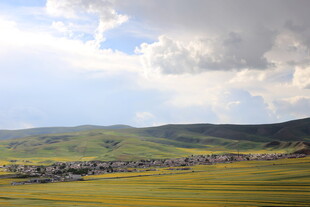 草原风光 蓝天白云绿地