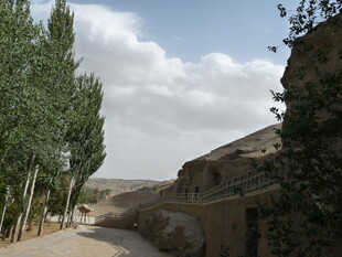 乡村小道旁的绿树与土房