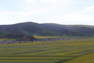 草原田野间的壮美风光