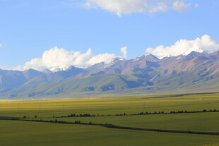 草原与远山的壮美风光