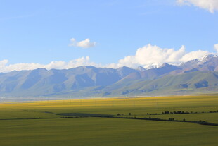 草原与远山的壮美风光