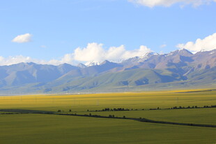 草原与远山的壮美风光