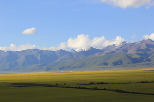 草原与远山的壮美风光