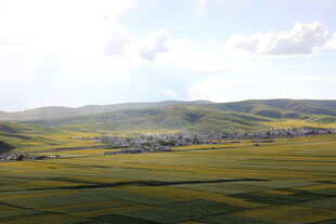 广袤草原上的宁静村落